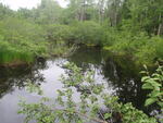 Culvert Crossing, Ellsworth, Maine