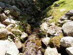 Culvert Crossing, Tannery Brook, Dedham, Maine