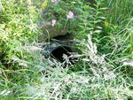 Culvert Crossing, Ellsworth, Maine