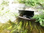 Culvert Crossing, Mann Brook, Dedham, Maine