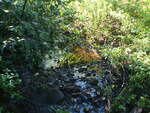 Culvert Crossing, Cherryfield, Maine