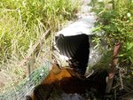 Culvert Crossing, Steuben, Maine