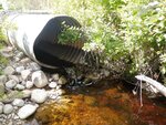 Culvert Crossing, Steuben, Maine