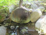 Culvert Crossing, Ellsworth, Maine