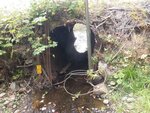 Culvert Crossing, Shepardson Brook, Brooksville, Maine