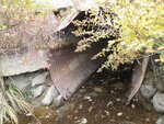 Culvert Crossing, Shepardson Brook, Brooksville, Maine