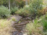 Culvert Crossing, Shepardson Brook, Brooksville, Maine