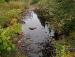 Multiple Culvert Crossing, Shepardson Brook, Brooksville, Maine