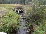 Multiple Culvert Crossing, Shepardson Brook, Brooksville, Maine