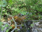 Culvert Crossing, Harrington, Maine