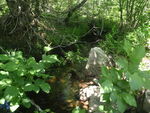 Culvert Crossing, Harrington, Maine