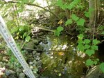Culvert Crossing, Sorrento, Maine