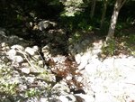 Culvert Crossing, Sorrento, Maine