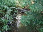Culvert Crossing, Sorrento, Maine