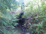 Culvert Crossing, Sorrento, Maine