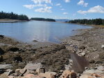 Culvert Crossing, Winter Harbor, Maine