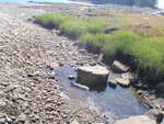 Culvert Crossing, Winter Harbor, Maine