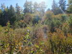 Culvert Crossing, Sullivan, Maine
