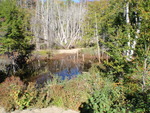 Culvert Crossing, Sullivan, Maine