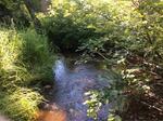 Bridge Crossing, Currt Brook, Cathance Twp, Maine