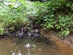 Culvert Crossing, Edmunds Twp, Maine