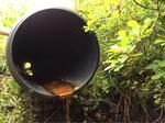 Culvert Crossing, Edmunds Twp, Maine