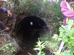 Culvert Crossing, Jonesboro, Maine