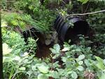 Multiple Culvert Crossing, Trib To Little Kennebec Bay, Machias, Maine
