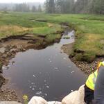 Multiple Culvert Crossing, Meadow Brook, Machiasport, Maine