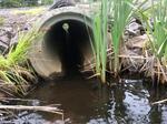 Culvert Crossing, Trib To Eastman Stream, Pembroke, Maine