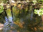 Culvert Crossing, Trib To Sixteenth Stream, Alexander, Maine