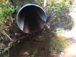 Culvert Crossing, Trib To Sixteenth Stream, Alexander, Maine