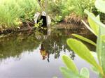 Culvert Crossing, Trib To Dead Stream, Cooper, Maine