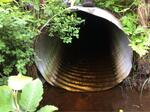 Culvert Crossing, Trib To Dead Stream, Cooper, Maine