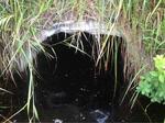Culvert Crossing, Trib To Sawyer Cove, Jonesport, Maine