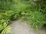 Culvert Crossing, Lubec, Maine