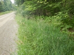 Culvert Crossing, Lubec, Maine