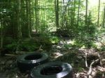 Culvert Crossing, Charlotte, Maine