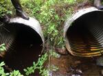 Multiple Culvert Crossing, Lubec, Maine