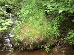 Multiple Culvert Crossing, Lubec, Maine