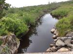 Culvert Crossing, Hamilton Brook, Lubec, Maine
