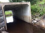 Culvert Crossing, Hamilton Brook, Lubec, Maine