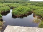 Culvert Crossing, Hamilton Brook, Lubec, Maine