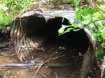 Culvert Crossing, Edmunds Twp, Maine