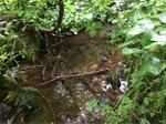 Culvert Crossing, Edmunds Twp, Maine