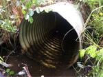 Multiple Culvert Crossing, Pembroke, Maine