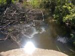 Culvert Crossing, Edmunds Twp, Maine