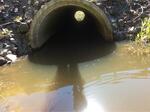 Culvert Crossing, Edmunds Twp, Maine