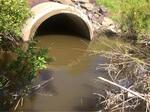 Culvert Crossing, Edmunds Twp, Maine
