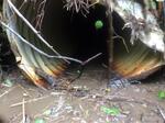 Culvert Crossing, Lubec, Maine
